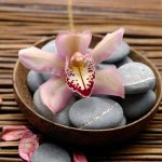 Untitled design (21)